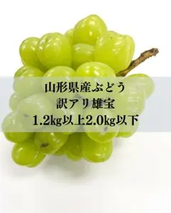 S-32 寒河江産 佐藤錦( L以上) 正味1キロ - メルカリ