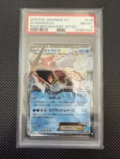 2026年最新】ギャラドスex psa9の人気アイテム - メルカリ