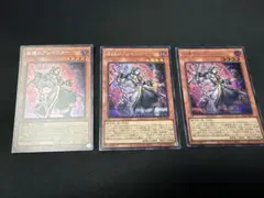 遊戯王 追憶のアレイスター プリシク CORI-JP015 - メルカリ