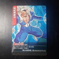 ドラゴンボールZ2 データカードダス 魔人ブウ - メルカリ