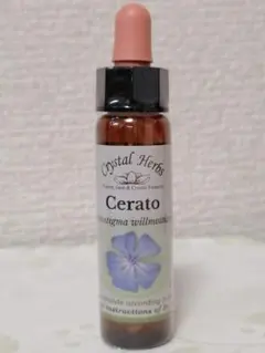 オリーブ様 リクエスト 2点 まとめ商品