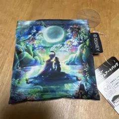 ディズニー プレミアムアートバッグ アラジン