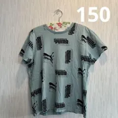 極美品　PUMAキッズ半袖Ｔシャツ150