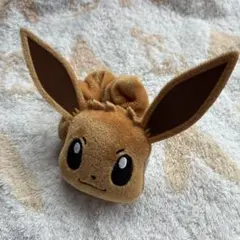 ポケットモンスター イーブイ バンド