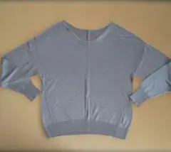 LAUTREAMONT ベージュグレー 長袖カットソー レーヨンアクリルニット