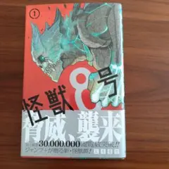 ちくわくん様 リクエスト 2点 まとめ商品