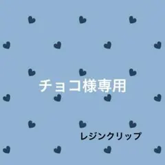 チョコ様専用 大きめ可愛い ペーパークリップ バインダー貯金