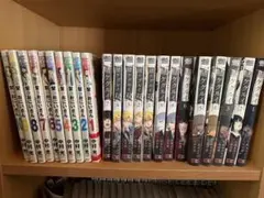 新品ケース交換済み 鋼の錬金術師1期+2期+劇場版 DVD31巻セット - メルカリ