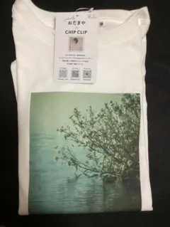 Item thumbnail for item 74d5ffe7-83f4-45cc-ad3e-c960d3f55767