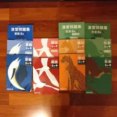 四谷大塚　予習シリーズ など 6年　有名校対策　下巻　2024年度使用　全11冊