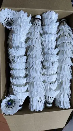 Item thumbnail for item 37f3c4d7-6c29-4b1b-abfb-d3ef75d127c6