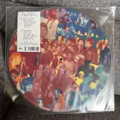 ポールマッカートニー 限定ピクチャーレコード - メルカリ