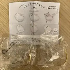 うちの子のけだまだま 犬 ポメラニアン チワワ