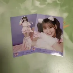 2026年最新】イコラブ 生写真 猫の人気アイテム - メルカリ