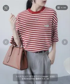 PENNEYS テレコリブ ボーダー半袖リンガーTシャツのサムネイル
