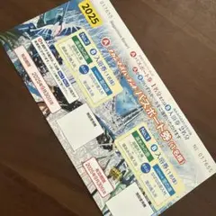 2025年最新】ナガシマスパーランド チケットの人気アイテム