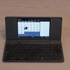 Pomera DM250