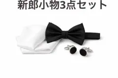 Item thumbnail for item 3e9069df-e874-4473-b5ee-a4e6a2b37523