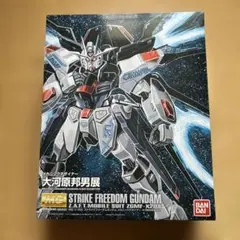 未組立 MG ストライクフリーダムガンダム 大河原邦男展Ver