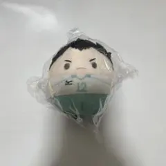 ハイキュー!! ぬいぐるみ マスコット