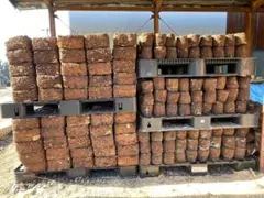 Item thumbnail for item 7888db77-e6ee-4787-933d-356dd46fa986