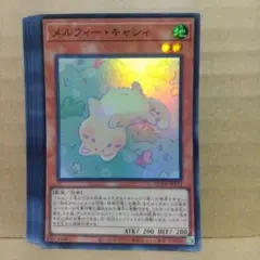 【メルフィー・キャシィ】【QCCU-JP172】【スーパー8枚】