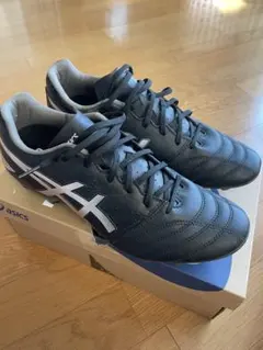 ASICS DS LIGHT ADVANCE WIDE 28.0cm