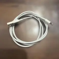 Apple iPhone ライトニングケーブル③
