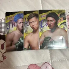 RIZINウエハース2024 3枚セット