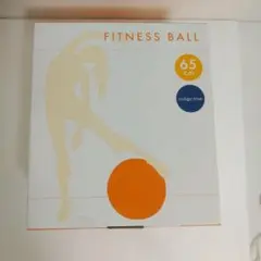 【未開封品】プリマソーレ フィットネスボール 65cm インディゴブルー