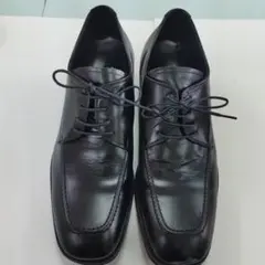 Item thumbnail for item 61ae1c79-1065-4c74-91d8-66a126a2ac74