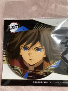 鬼滅の刃 箔押し缶バッジ Vol.3　冨岡義勇　無限城