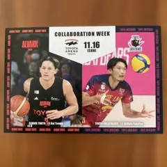 アルバルク東京　テーブス海×東京グレートベアーズ　深津旭弘　ポストカード