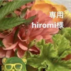 専用ページ hiromi様