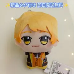 AMPTAK×COLORS ちびぐるみ ぬいぐるみ マスコット あっきぃ