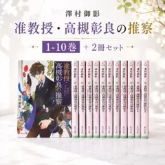 【准教授・高槻彰良の推察】1〜12巻 EX 1〜3巻 全15巻セット／澤村御影 澤村御影 准教授・高槻彰良の推察 1〜12巻、EX1〜3 15冊セット 角川