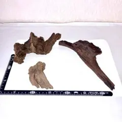 水槽用流木 3点セット