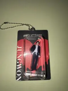 ENHYPENジョンウォン Acrylic Keyling