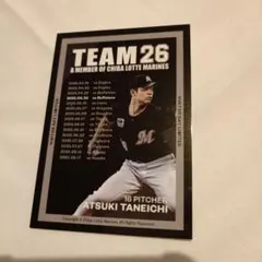 よっちゃん様 リクエスト 2点 まとめ商品