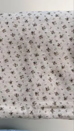 Rick Rack 裏毛 ベージュ小花柄 1m