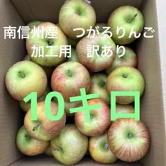 南信州産　つがるりんご加工用　訳あり10キロのサムネイル