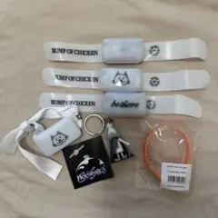 バンプ　ライブグッズ　セット 4U 2nd Live Tour Daze forU!! ステッカーセット – Tokyo 7th