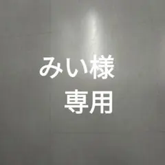 みい様　専用