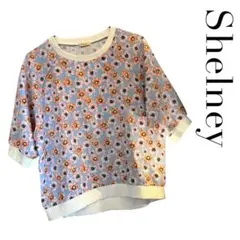 Item thumbnail for item 2bfff956-231e-4ac1-96d5-24e2779f7449