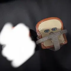 パンどろぼうカプキャラ　へんしんだ！