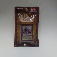 遊戯王カードゲーム アクリルブロックVol.6 閃刀姫ーロゼ