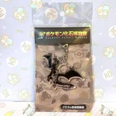 新品未開封品 ポケモン化石博物館 バンダナ 30枚セット 新品未開封品 ポケモン化石博物館 バンダナ 30枚セット - メルカリ