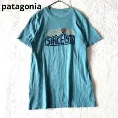 608 パタゴニア Tシャツ オーガニックコットン100% SINCE1973