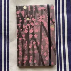 Item thumbnail for item b6f511a8-620f-42a2-9cd8-9af2386950e1