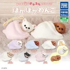 yokko様アプリコット